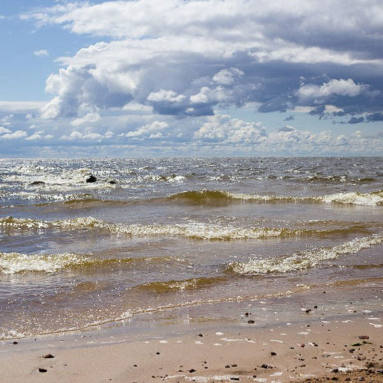 Расскажи мне о море 2017